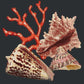 Red Coral Needlepoint Kit Kits Elizabeth Bradley Design Black 