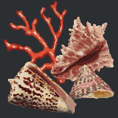 Red Coral Needlepoint Kit Kits Elizabeth Bradley Design Black 
