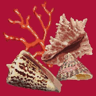 Red Coral Needlepoint Kit Kits Elizabeth Bradley Design Bright Red 
