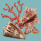 Red Coral Needlepoint Kit Kits Elizabeth Bradley Design Duck Egg Blue 