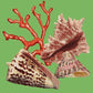 Red Coral Needlepoint Kit Kits Elizabeth Bradley Design Grass Green 