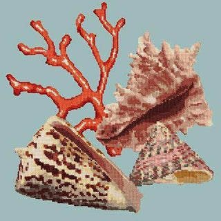 Red Coral Needlepoint Kit Kits Elizabeth Bradley Design Pale Blue 
