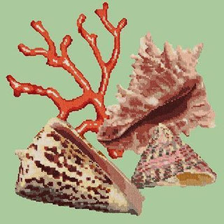 Red Coral Needlepoint Kit Kits Elizabeth Bradley Design Pale Green 
