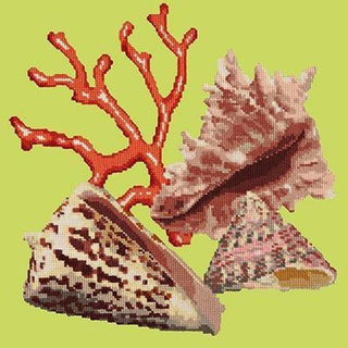 Red Coral Needlepoint Kit Kits Elizabeth Bradley Design Pale Lime 
