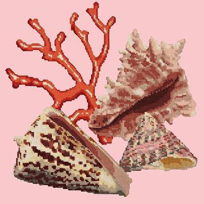 Red Coral Needlepoint Kit Kits Elizabeth Bradley Design Pale Rose 