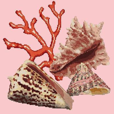 Red Coral Needlepoint Kit Kits Elizabeth Bradley Design Pale Rose 
