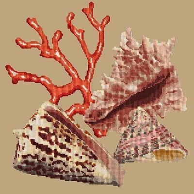 Red Coral Needlepoint Kit Kits Elizabeth Bradley Design Sand 