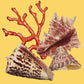 Red Coral Needlepoint Kit Kits Elizabeth Bradley Design Sunflower Yellow 