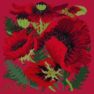 Red Poppy Needlepoint Kit Kits Elizabeth Bradley Design Bright Red 
