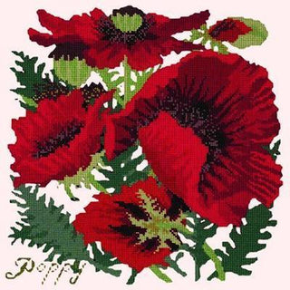Red Poppy Needlepoint Kit Kits Elizabeth Bradley Design Cream 
