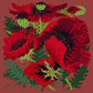 Red Poppy Needlepoint Kit Kits Elizabeth Bradley Design Dark Red 