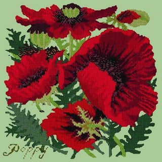 Red Poppy Needlepoint Kit Kits Elizabeth Bradley Design Pale Green 
