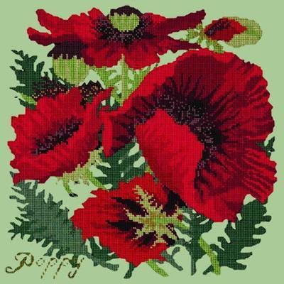 Red Poppy Needlepoint Kit Kits Elizabeth Bradley Design Pale Green 

