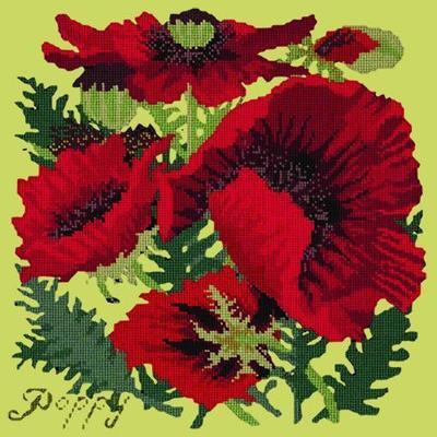 Red Poppy Needlepoint Kit Kits Elizabeth Bradley Design Pale Lime 
