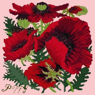 Red Poppy Needlepoint Kit Kits Elizabeth Bradley Design Pale Rose 
