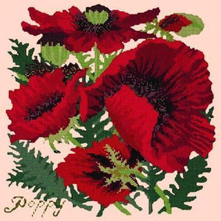 Red Poppy Needlepoint Kit Kits Elizabeth Bradley Design Salmon Pink 
