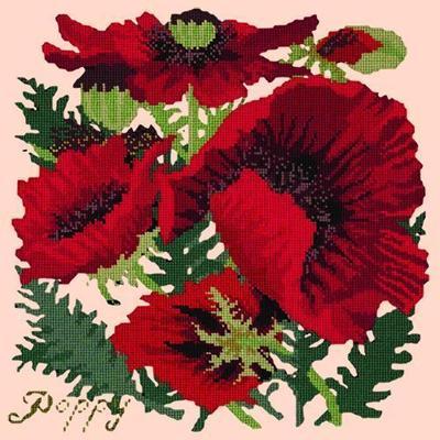 Red Poppy Needlepoint Kit Kits Elizabeth Bradley Design Salmon Pink 
