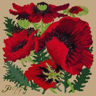 Red Poppy Needlepoint Kit Kits Elizabeth Bradley Design Sand 
