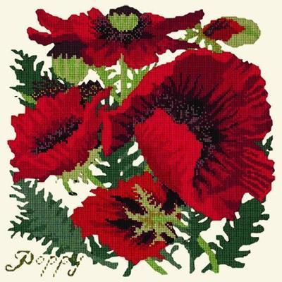 Red Poppy Needlepoint Kit Kits Elizabeth Bradley Design Winter White 