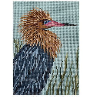 Reddish Egret on 13 Painted Canvas Needle Crossings 
