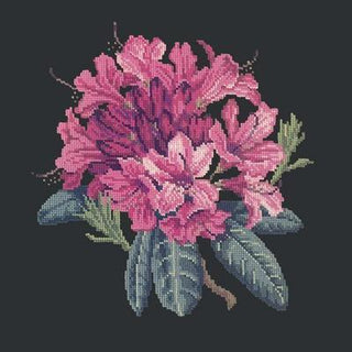 Rhododendron Needlepoint Kit Kits Elizabeth Bradley Design Black 
