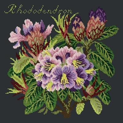 Rhododendron Needlepoint Kit Kits Elizabeth Bradley Design Black 
