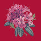 Rhododendron Needlepoint Kit Kits Elizabeth Bradley Design Bright Red 