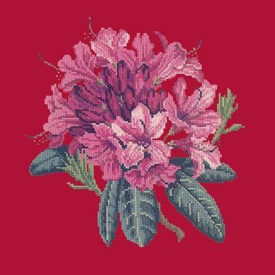 Rhododendron Needlepoint Kit Kits Elizabeth Bradley Design Bright Red 
