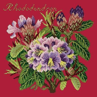 Rhododendron Needlepoint Kit Kits Elizabeth Bradley Design Bright Red 
