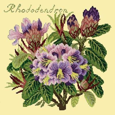 Rhododendron Needlepoint Kit Kits Elizabeth Bradley Design Butter Yellow 