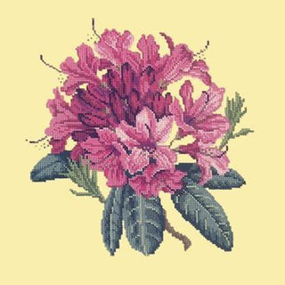 Rhododendron Needlepoint Kit Kits Elizabeth Bradley Design Butter Yellow 
