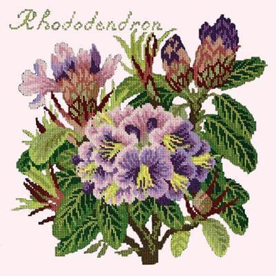 Rhododendron Needlepoint Kit Kits Elizabeth Bradley Design Cream 
