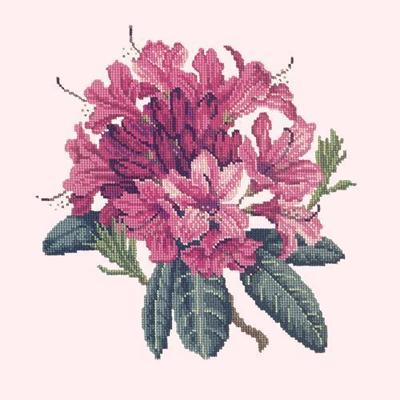 Rhododendron Needlepoint Kit Kits Elizabeth Bradley Design Cream 