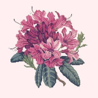 Rhododendron Needlepoint Kit Kits Elizabeth Bradley Design Cream 
