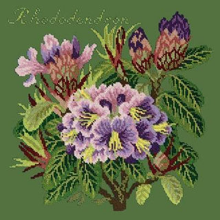 Rhododendron Needlepoint Kit Kits Elizabeth Bradley Design Dark Green 
