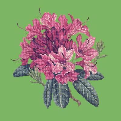 Rhododendron Needlepoint Kit Kits Elizabeth Bradley Design Grass Green 
