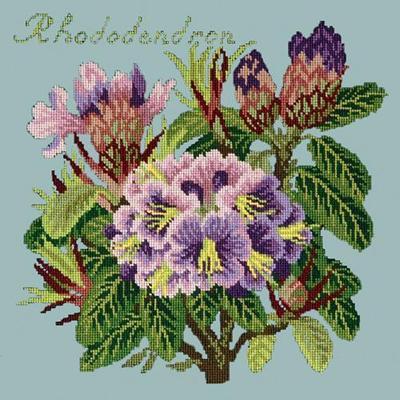 Rhododendron Needlepoint Kit Kits Elizabeth Bradley Design Pale Blue 