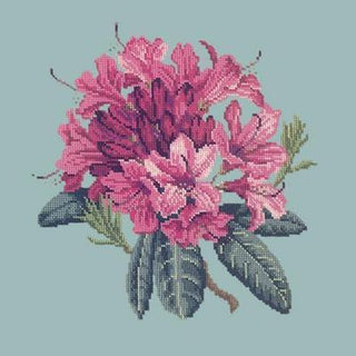 Rhododendron Needlepoint Kit Kits Elizabeth Bradley Design Pale Blue 
