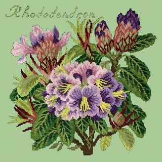 Rhododendron Needlepoint Kit Kits Elizabeth Bradley Design Pale Green 
