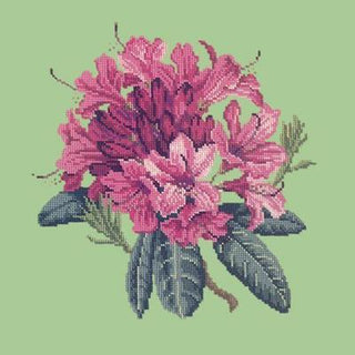 Rhododendron Needlepoint Kit Kits Elizabeth Bradley Design Pale Green 
