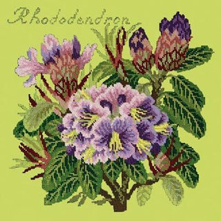 Rhododendron Needlepoint Kit Kits Elizabeth Bradley Design Pale Lime 
