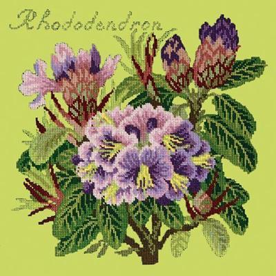 Rhododendron Needlepoint Kit Kits Elizabeth Bradley Design Pale Lime 
