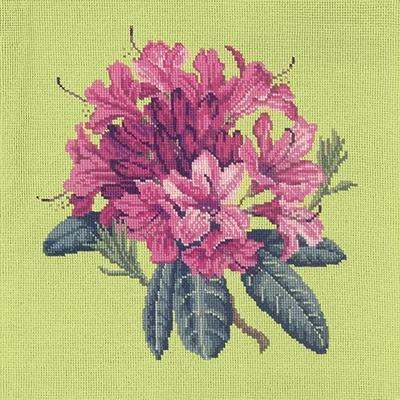Rhododendron Needlepoint Kit Kits Elizabeth Bradley Design Pale Lime 
