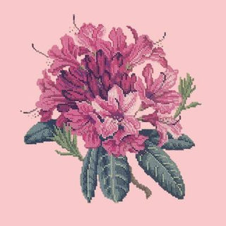 Rhododendron Needlepoint Kit Kits Elizabeth Bradley Design Pale Rose 
