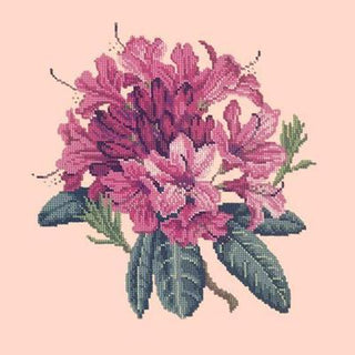 Rhododendron Needlepoint Kit Kits Elizabeth Bradley Design Salmon Pink 
