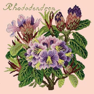 Rhododendron Needlepoint Kit Kits Elizabeth Bradley Design Salmon Pink 
