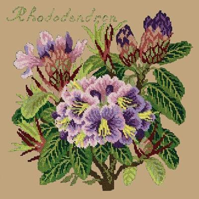 Rhododendron Needlepoint Kit Kits Elizabeth Bradley Design Sand 
