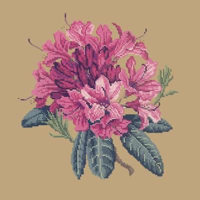Rhododendron Needlepoint Kit Kits Elizabeth Bradley Design Sand 
