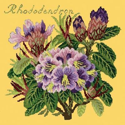 Rhododendron Needlepoint Kit Kits Elizabeth Bradley Design Sunflower Yellow 
