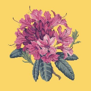 Rhododendron Needlepoint Kit Kits Elizabeth Bradley Design Sunflower Yellow 
